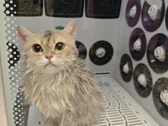-FAELING PETS美天灵宠物(富力广场店)