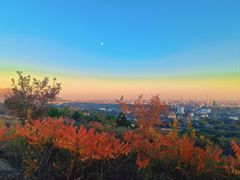 -白水寺森林公园