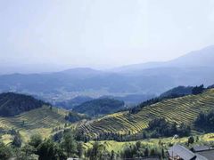 -紫鹊界梯田景区