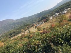 -塔川景区