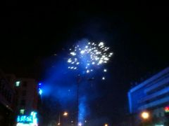 -卡萨米亚动物奶油生日蛋糕(牡丹城店)