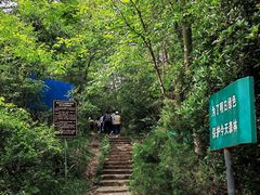 -紫金山山顶公园