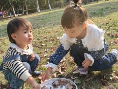 -河泥荡文化公园