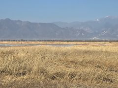 -野鸭湖国家湿地公园