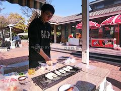 -吴淞炮台湾湿地森林公园烧烤区