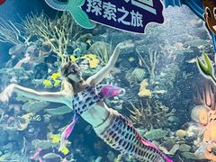 -上海乐高探索中心
