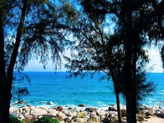 -广东惠东海龟国家级自然保护区