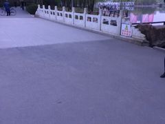 -长春公园(普阳街道)