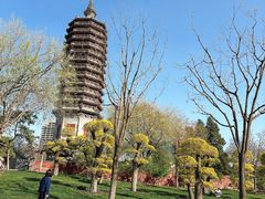 -西海子公园