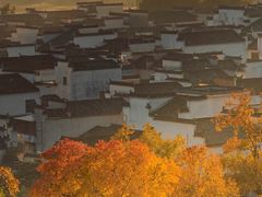 -塔川景区