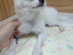 -联合动物医院(光谷诊疗中心)