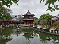 -碧江金楼