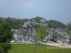 -千岛湖石林