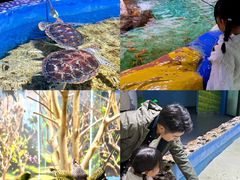 -顺德南宏海立方海洋公园