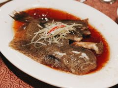 清蒸多宝鱼-东方明珠老上海8号餐厅(东方明珠广播电视塔店)