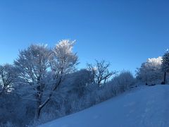 -长白山凯悦酒店·市集咖啡厅