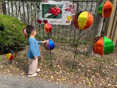 -菊园百果园