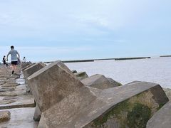 -南汇嘴观海公园