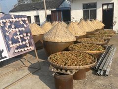 -苏州市吴中区光福窑上花果蜜饯厂