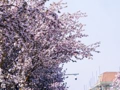 -民园广场