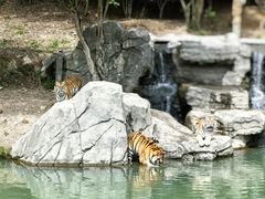 -宁波野生动物园