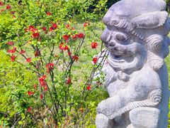 -中华郡文化旅游景区