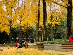 -四川博物院