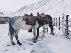 -祁连山·岗什卡雪峰景区