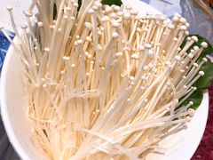 -九府羊·鲜羊火锅·烤串(新华路店)