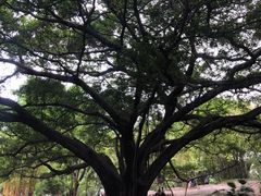 -晓港公园