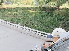 -塘沽森林公园