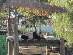 -西霞口神雕山野生动物世界