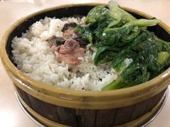 -华南师范大学石牌校区陶园