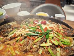 -老板恋上鱼(恒隆广场店)