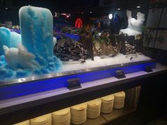 贝类-V-ONE西雅图海鲜自助餐厅(仓山万达广场店)