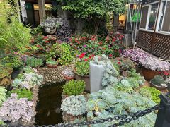 -山菌美食苑(振兴路店)