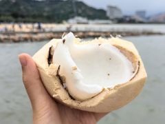 -野狸岛
