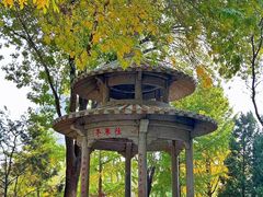 -玲珑塔公园