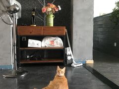 -小时候焗海鲜(鄞州万达店)
