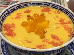 杨枝甘露-捷信牛奶甜品世家(五道口店)