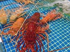 -三亚火车头万人海鲜广场