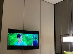 -长沙尼依格罗酒店