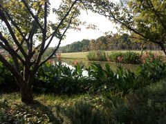 -昆山城市生态森林公园