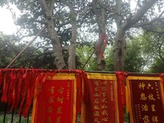 -北陵公园