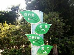 -沈阳中山公园
