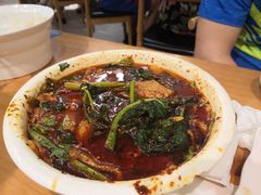 -曾牛肉