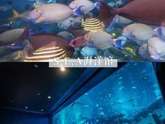 -圣淘沙名胜世界