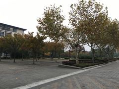 -东华大学(松江校区)