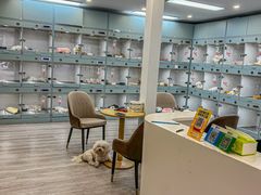 -萌宠之家·腊肠犬·马尔泰·小体犬舍