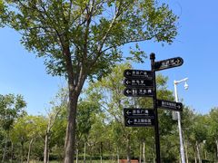 -天津东丽湖风景区